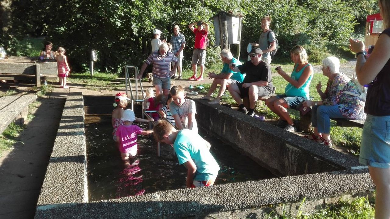 wassertretbecken_st.rinne wassertretbecken_st.rinne